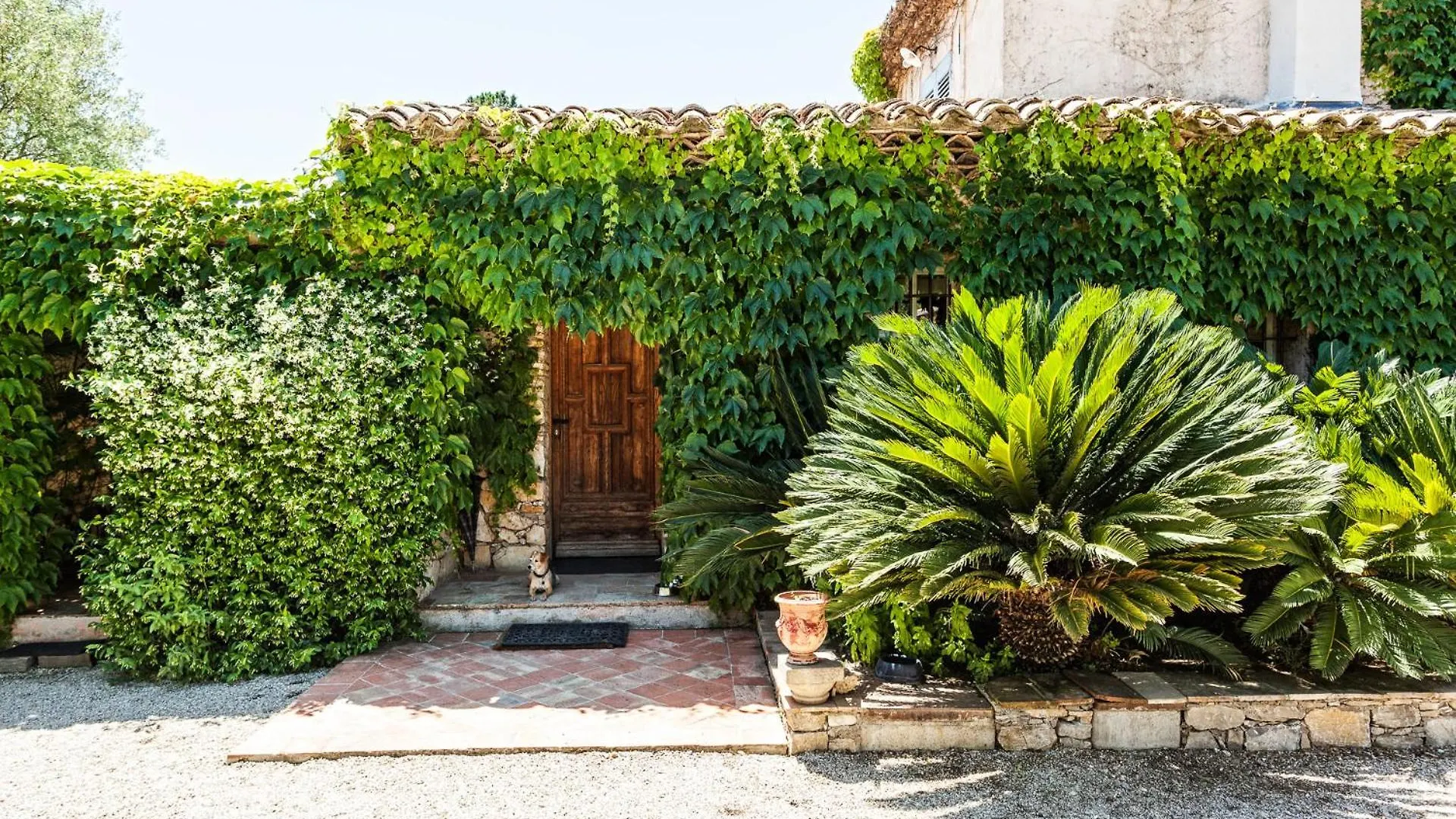 Domaine Les Mesanges Ξενοδοχείο Gassin